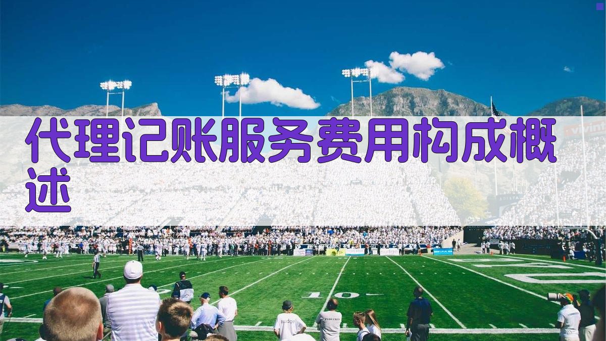 代理记账服务费用构成概述 图1