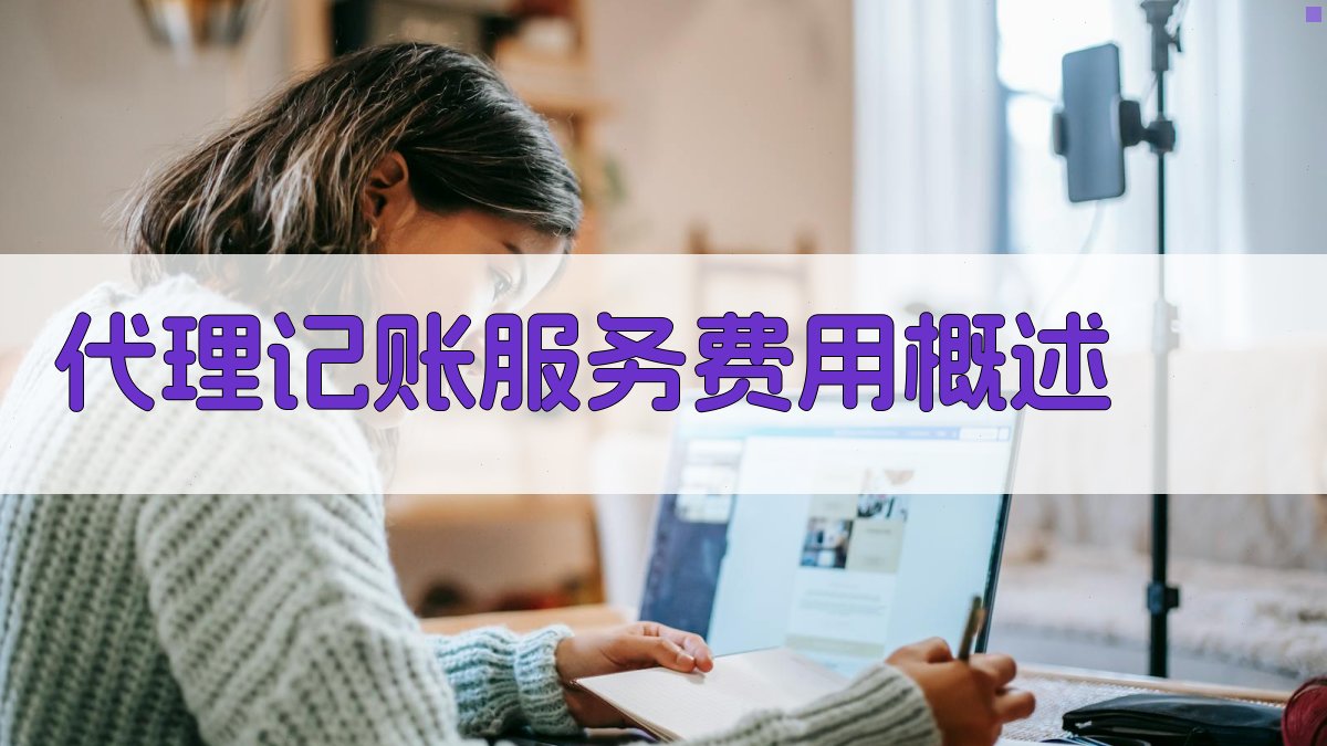 代理记账服务费用概述 图1