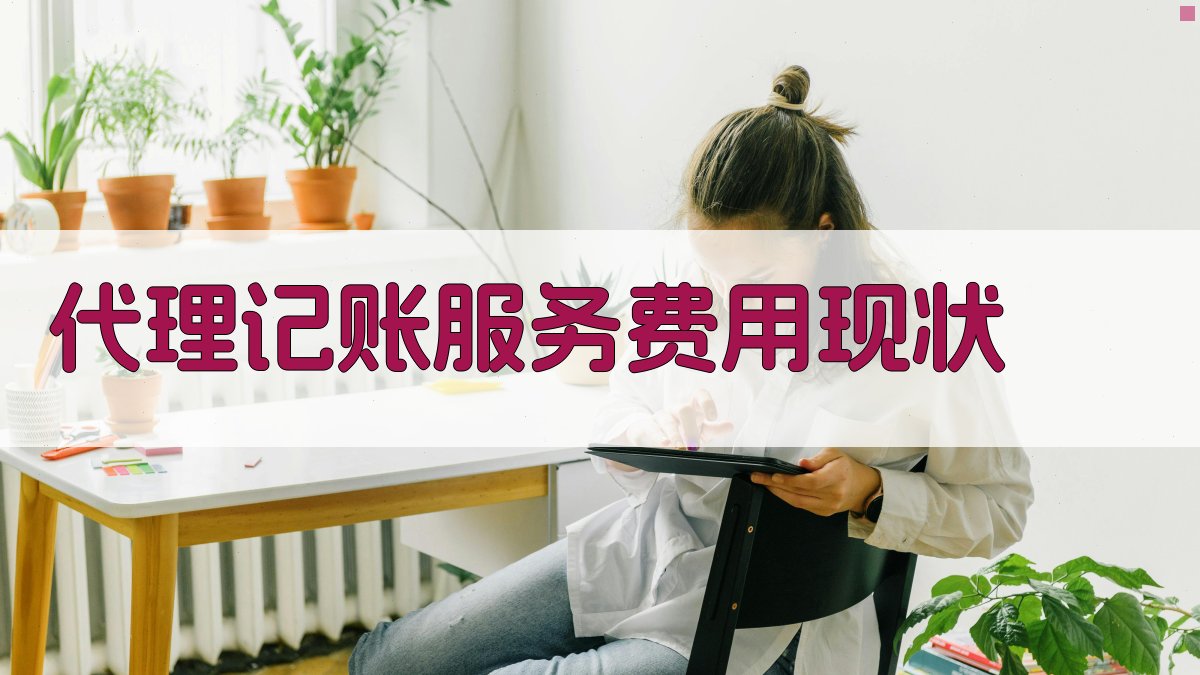 代理记账服务费用现状 图1