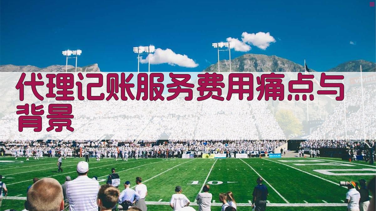 代理记账服务费用痛点与背景 图1