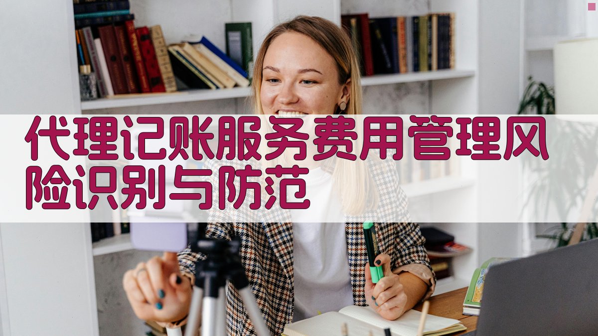 代理记账服务费用管理风险识别与防范 图1
