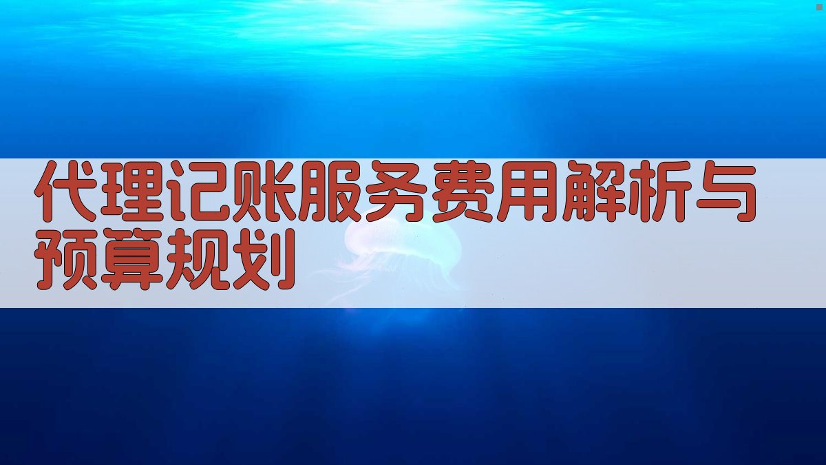 代理记账服务费用解析与预算规划 图1