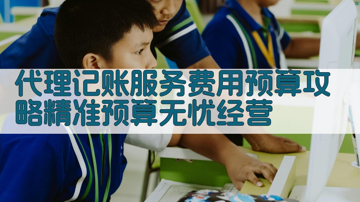 代理记账服务费用预算攻略：精准预算，无忧经营 图2