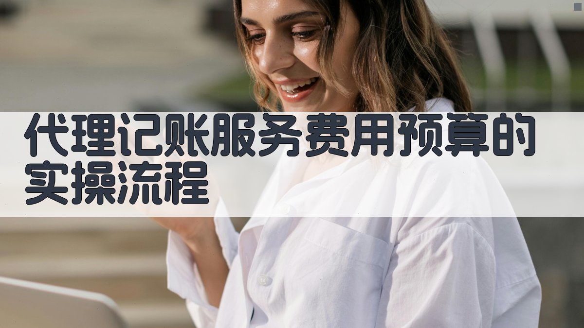 代理记账服务费用预算的实操流程 图1