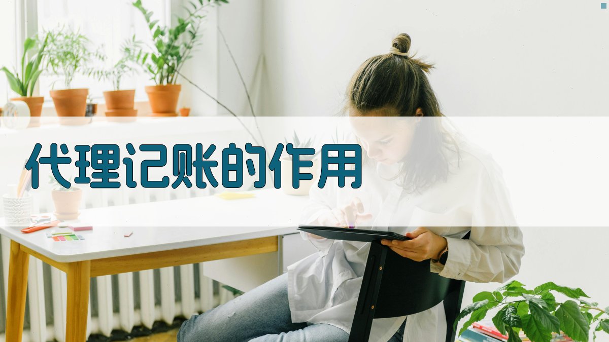 代理记账的作用 图2