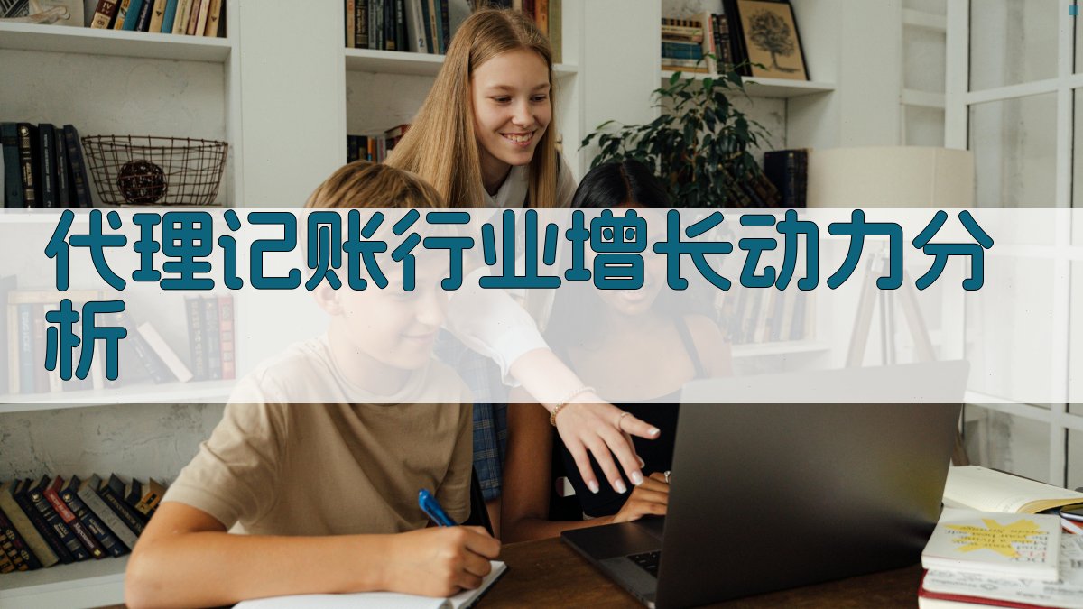 代理记账行业增长动力分析 图2