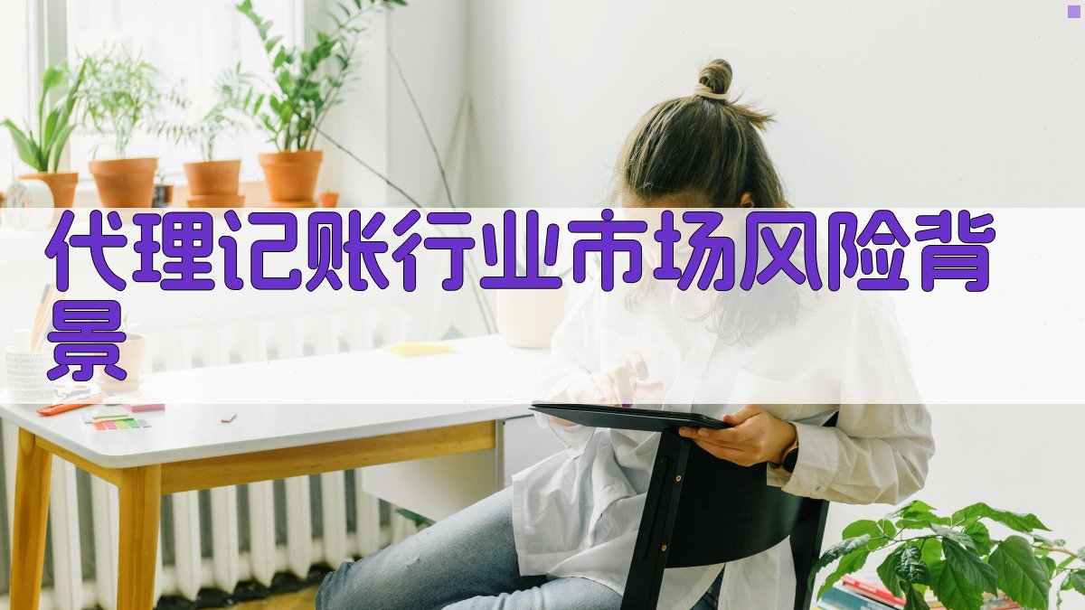代理记账行业市场风险背景 图1
