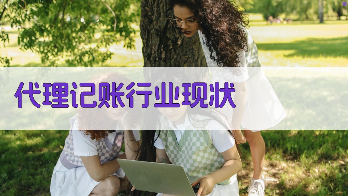 代理记账行业现状 图1
