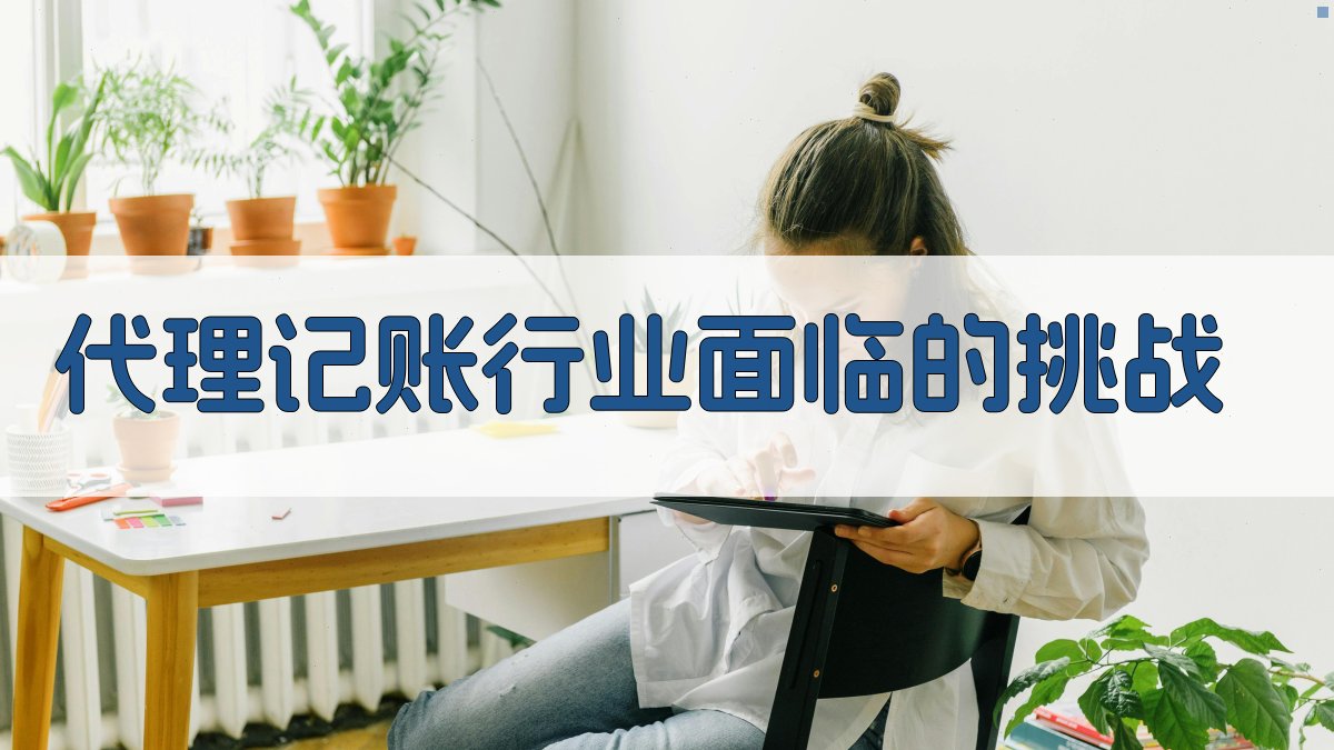 代理记账行业面临的挑战 图1