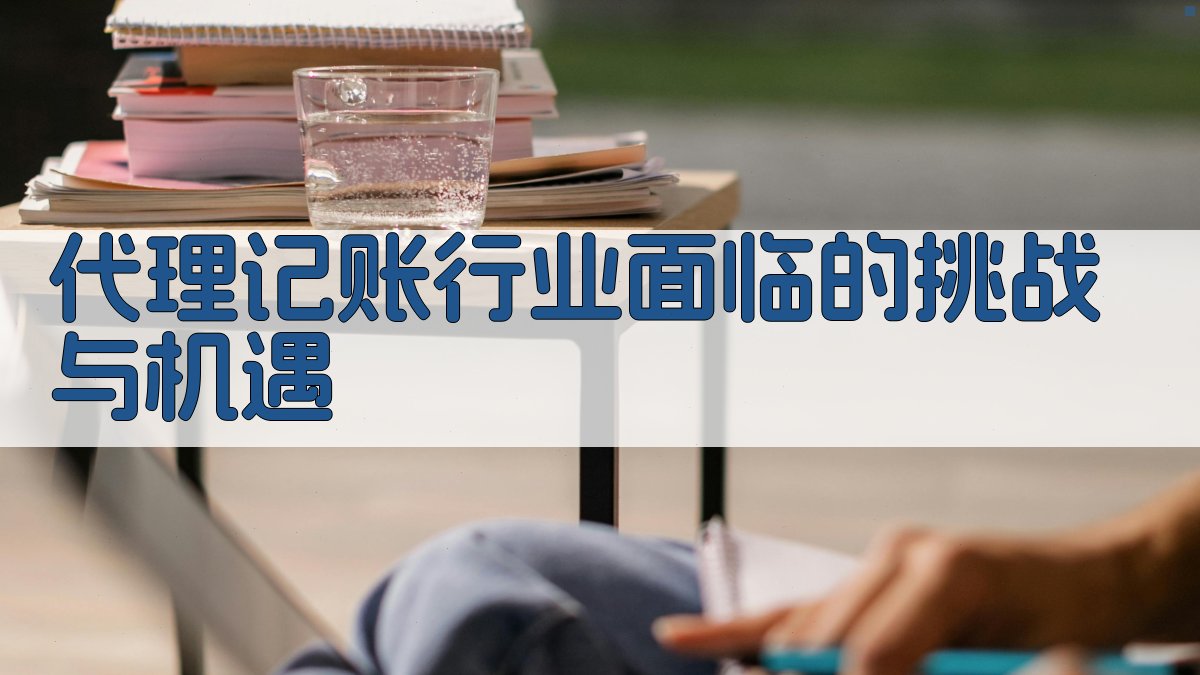 代理记账行业面临的挑战与机遇 图1