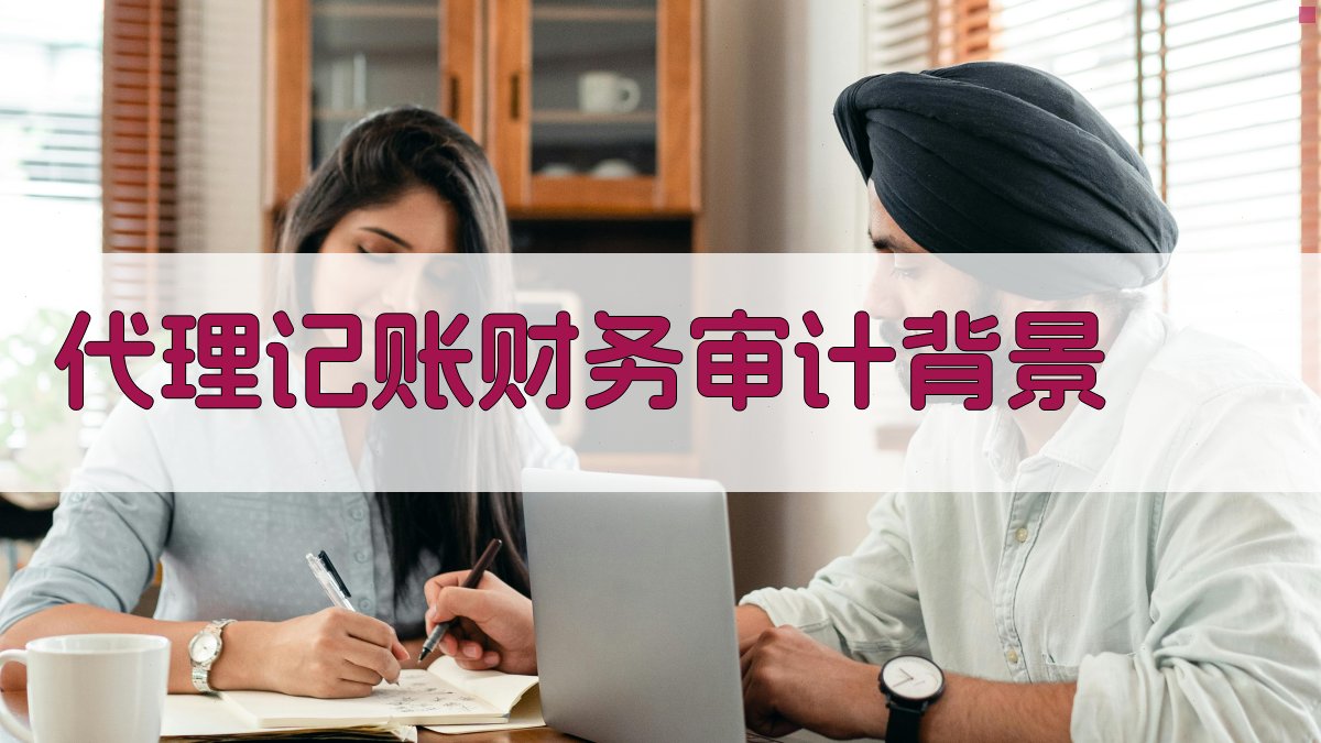代理记账财务审计背景 图1