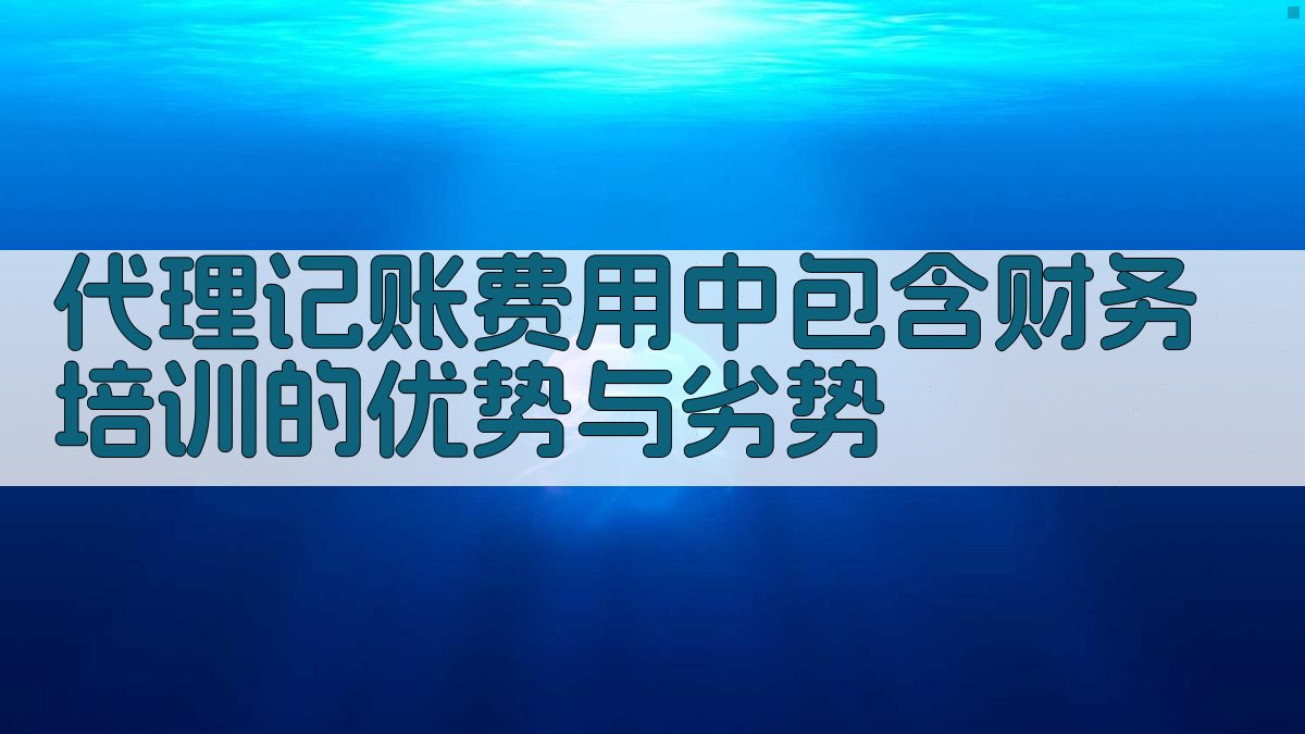 代理记账费用中包含财务培训的优势与劣势 图1
