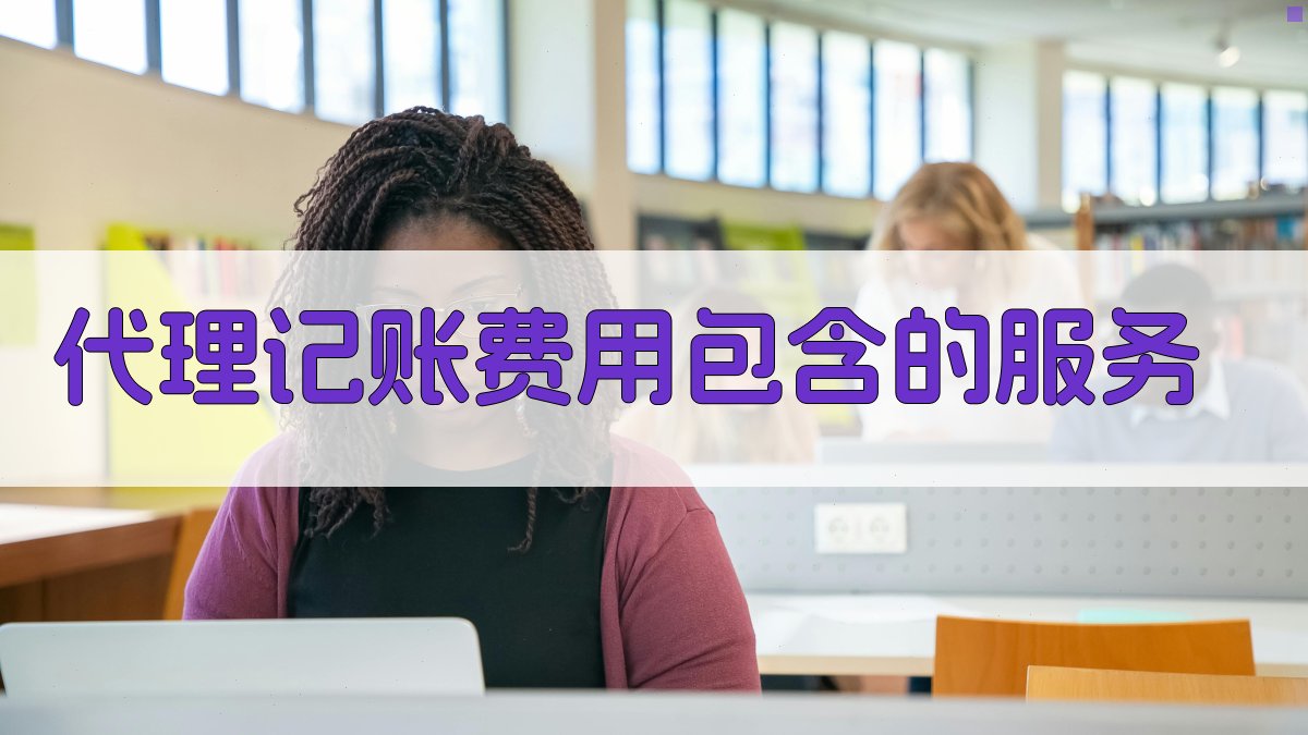 代理记账费用包含的服务 图2
