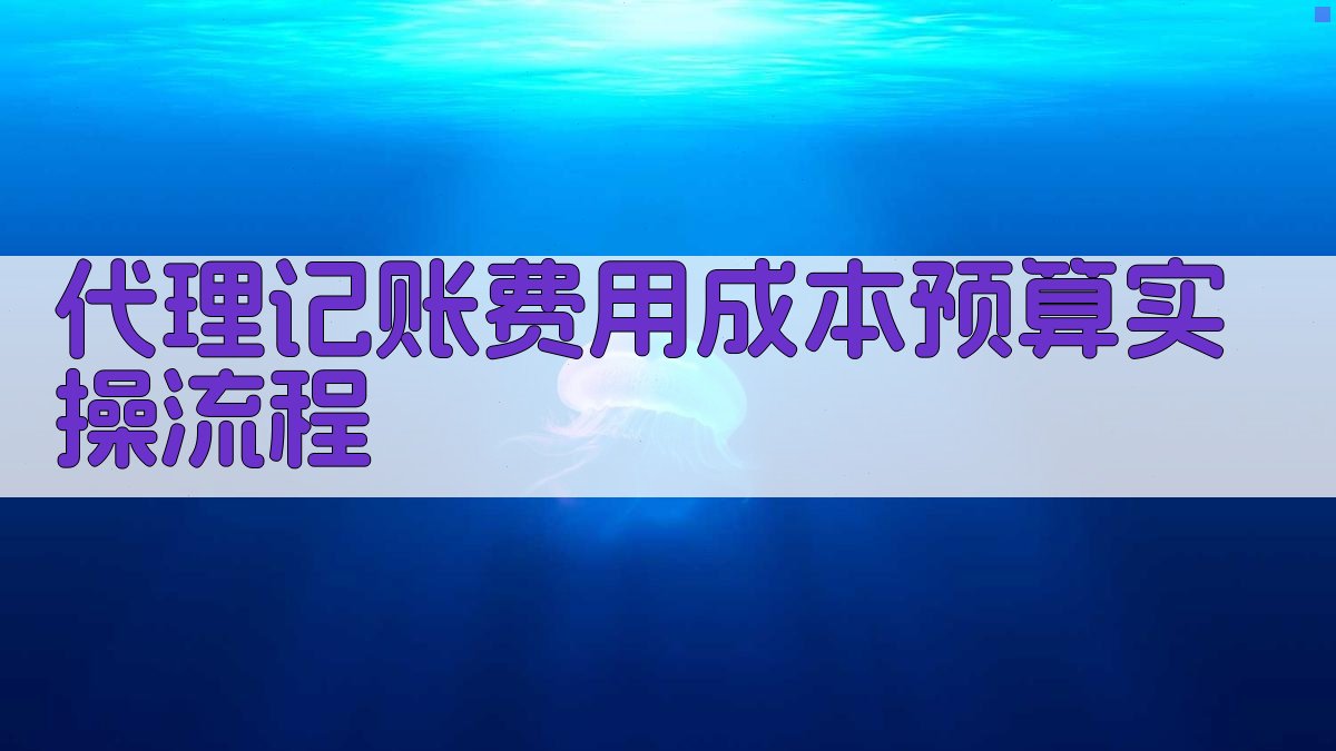 代理记账费用成本预算实操流程 图3