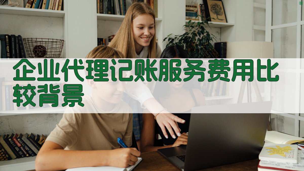 企业代理记账服务费用比较背景 图1