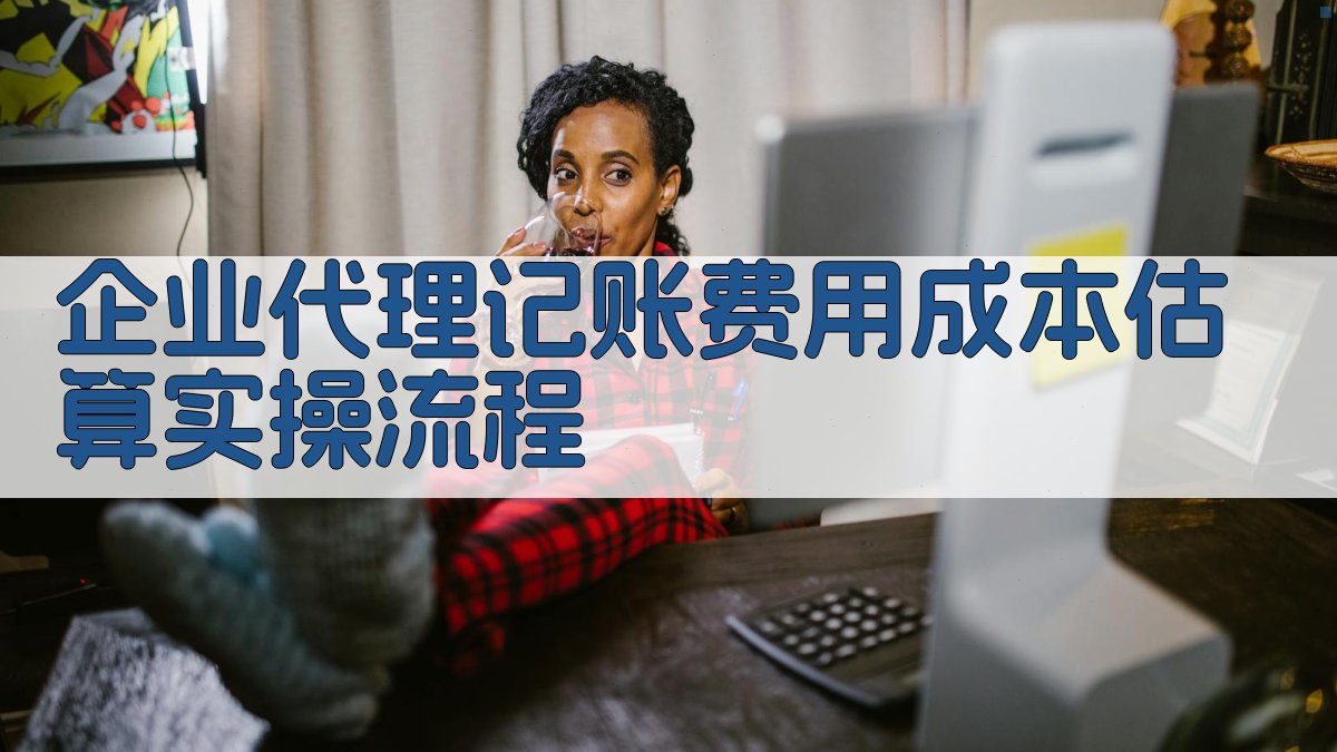 企业代理记账费用成本估算实操流程 图3