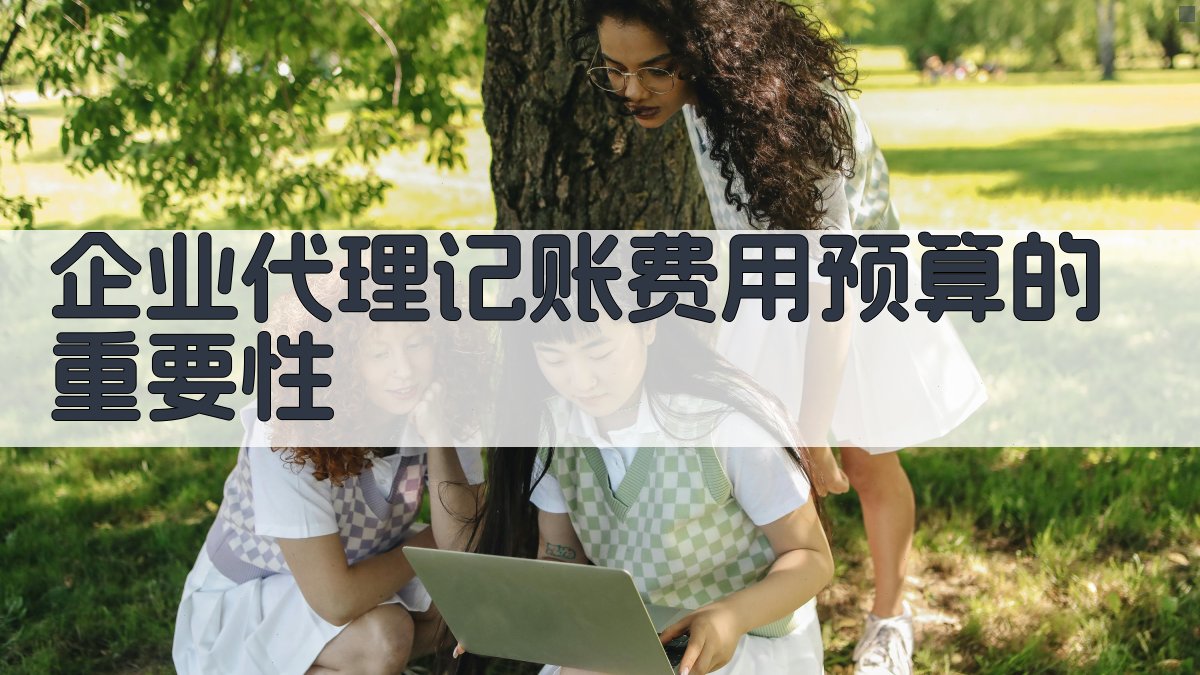 企业代理记账费用预算的重要性 图1