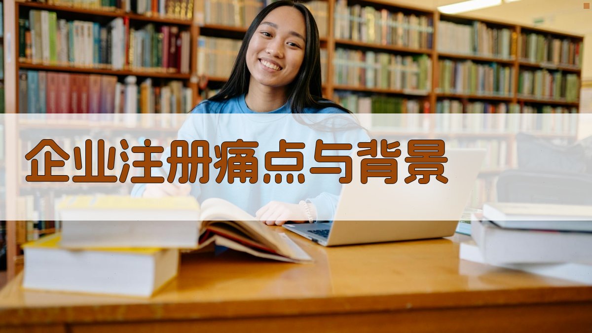 企业注册痛点与背景 图1