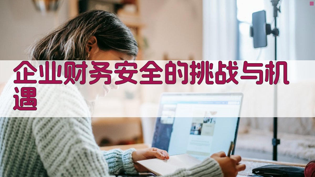 企业财务安全的挑战与机遇 图1