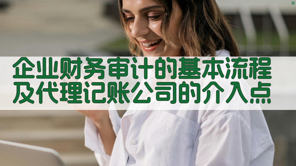 企业财务审计的基本流程及代理记账公司的介入点 图1