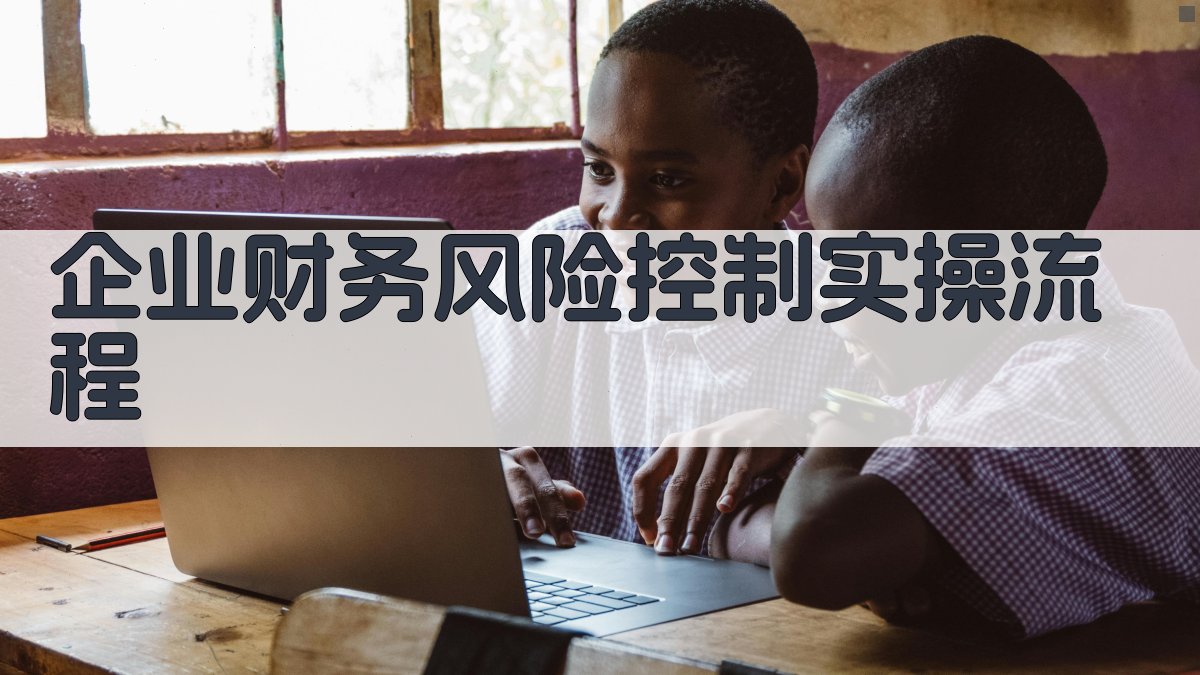 (企业财务风险控制实操流程) 图3