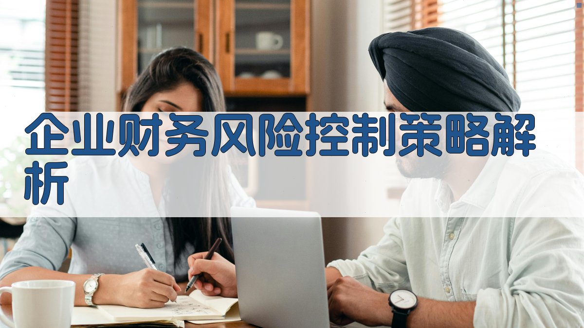 (企业财务风险控制策略解析) 图2