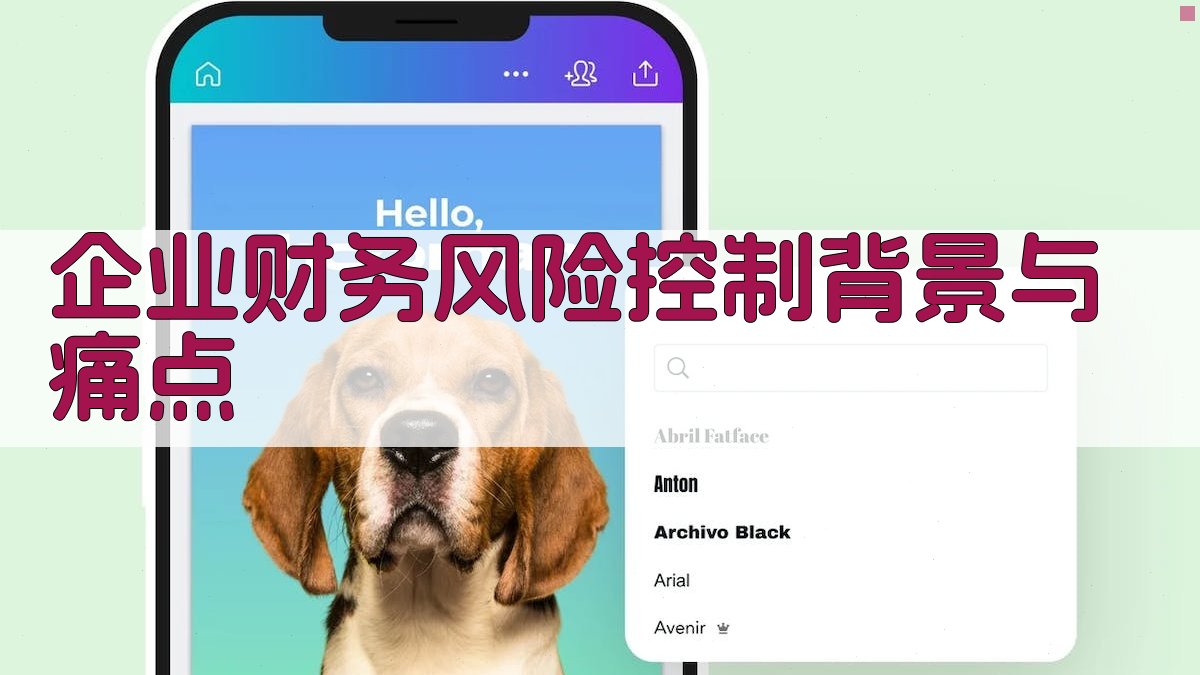 (企业财务风险控制背景与痛点) 图1