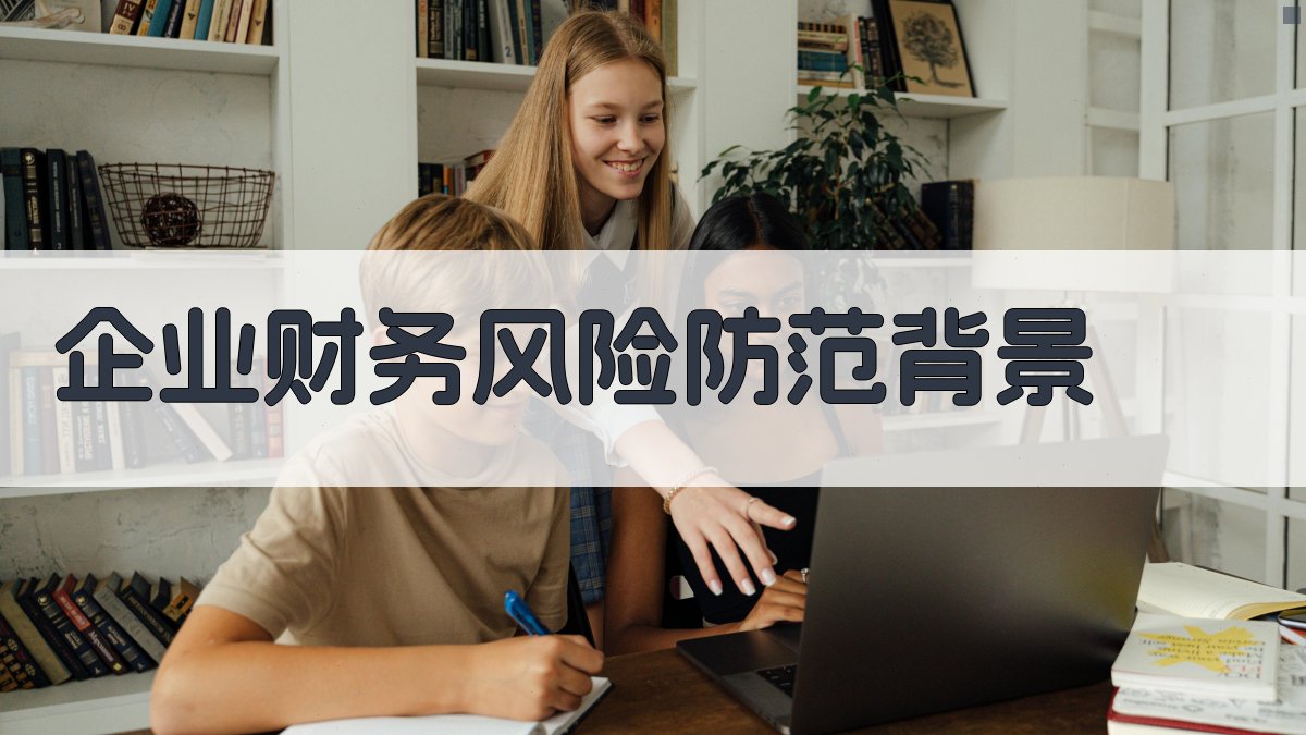 企业财务风险防范背景 图1