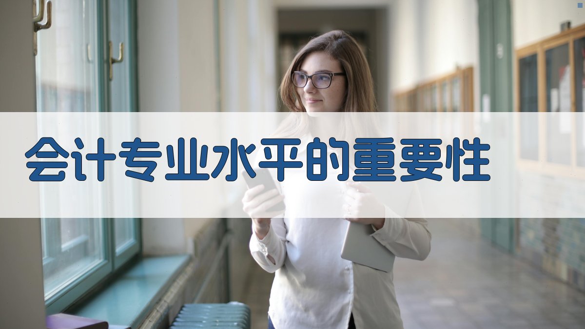 会计专业水平的重要性 图1