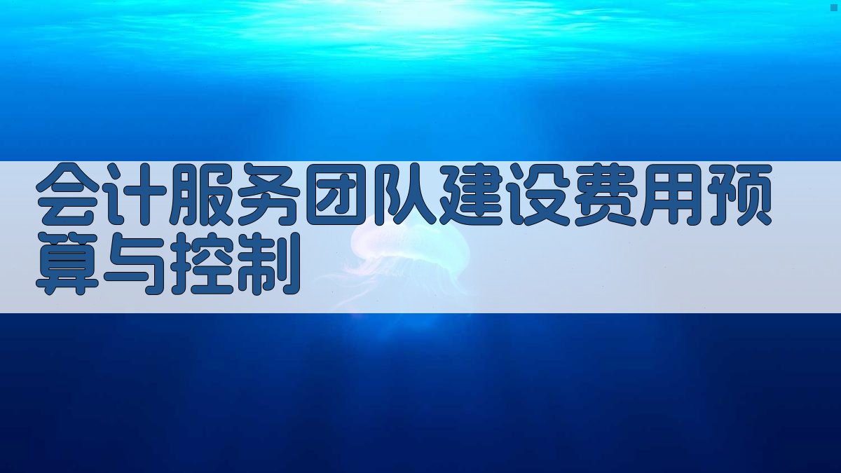 会计服务团队建设费用预算与控制 图2
