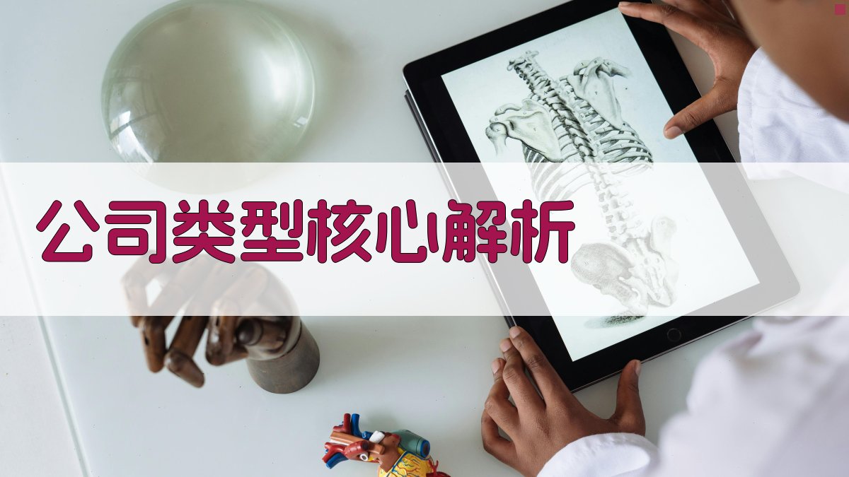 (公司类型核心解析) 图2