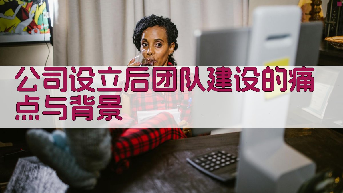 公司设立后团队建设的痛点与背景 图1