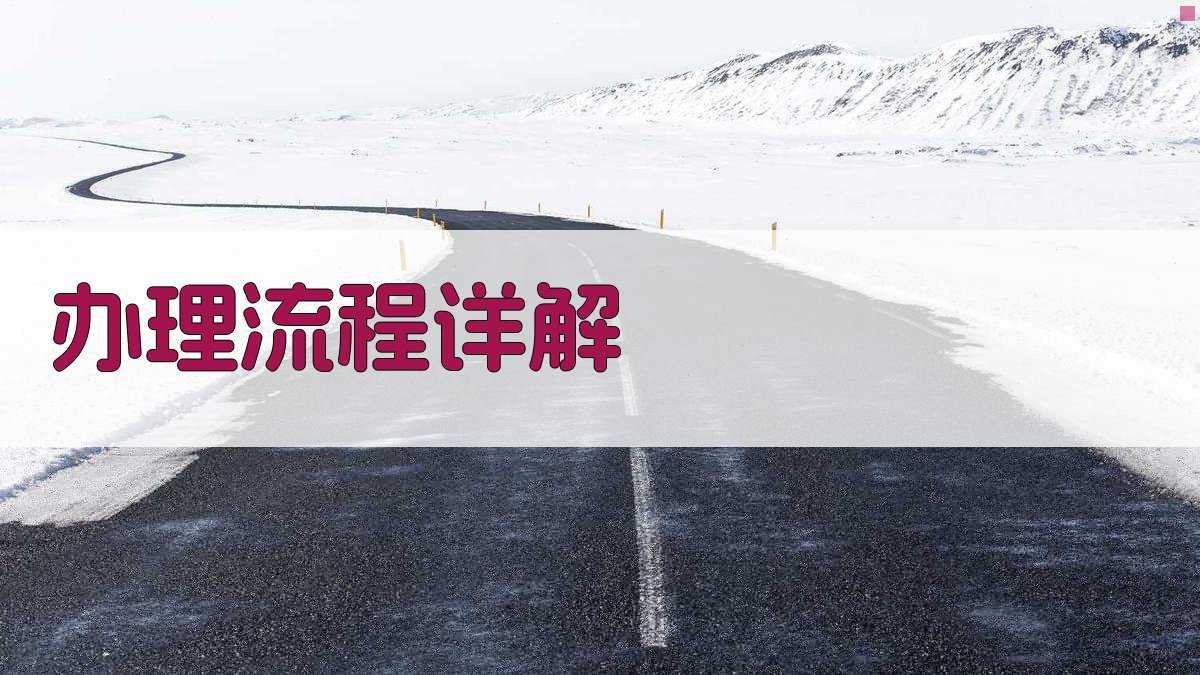 办理流程详解 图2