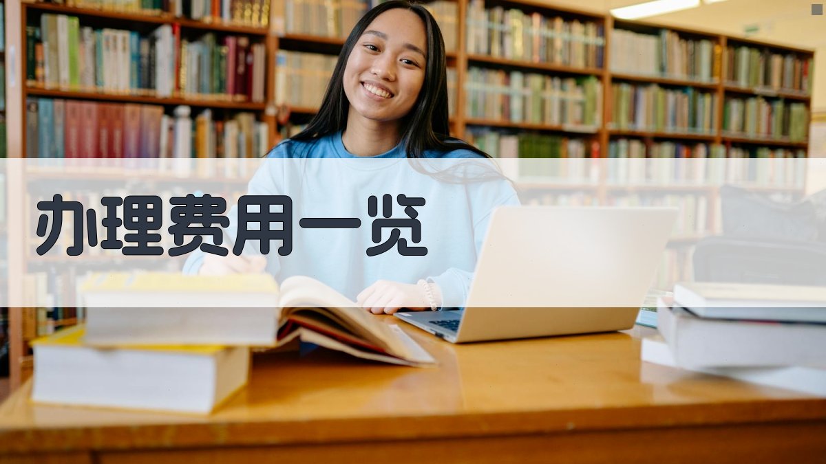 办理费用一览 图2