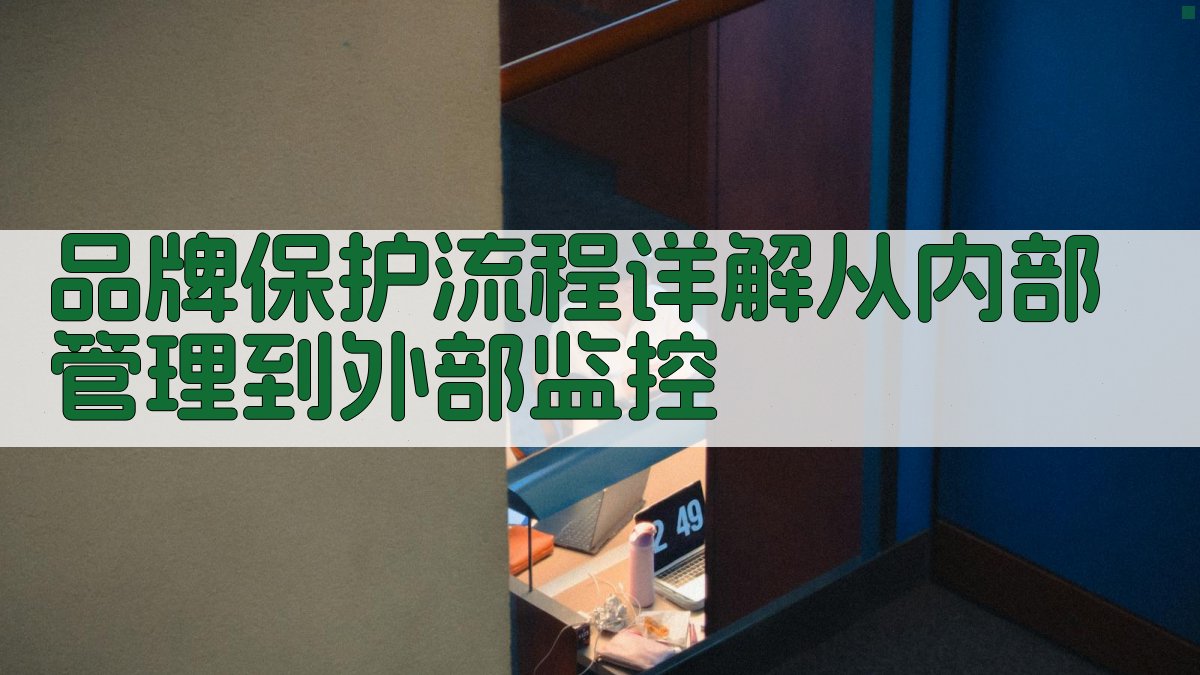 品牌保护流程详解从内部管理到外部监控 图2