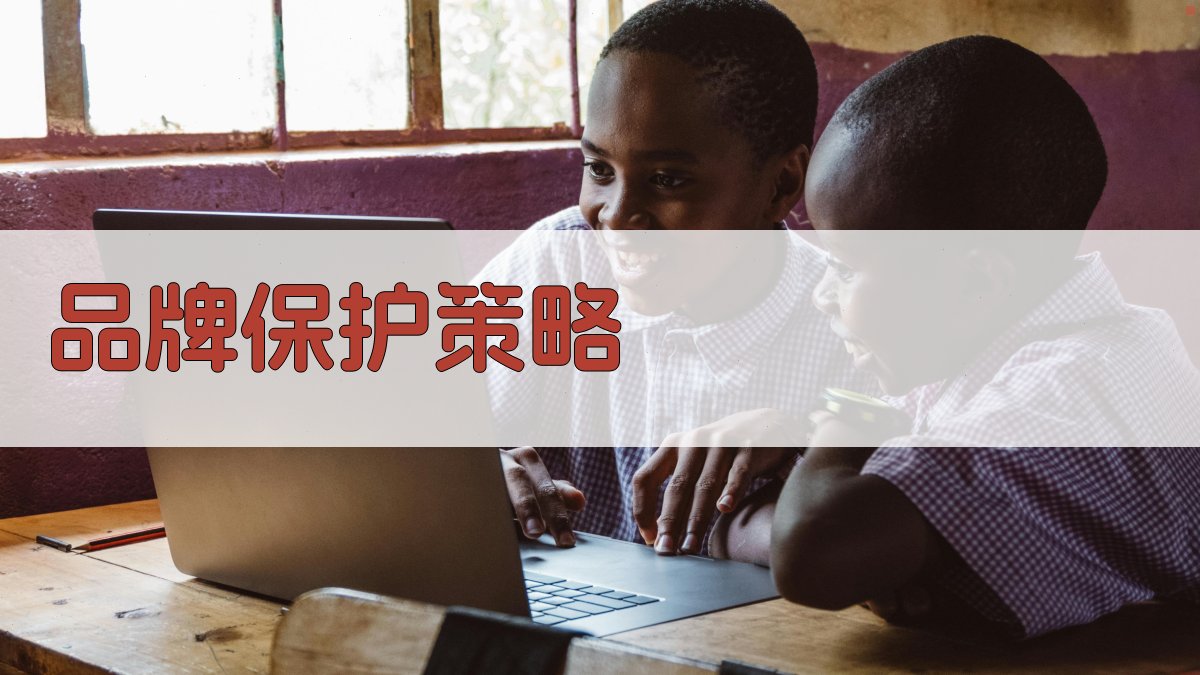 品牌保护策略 图1