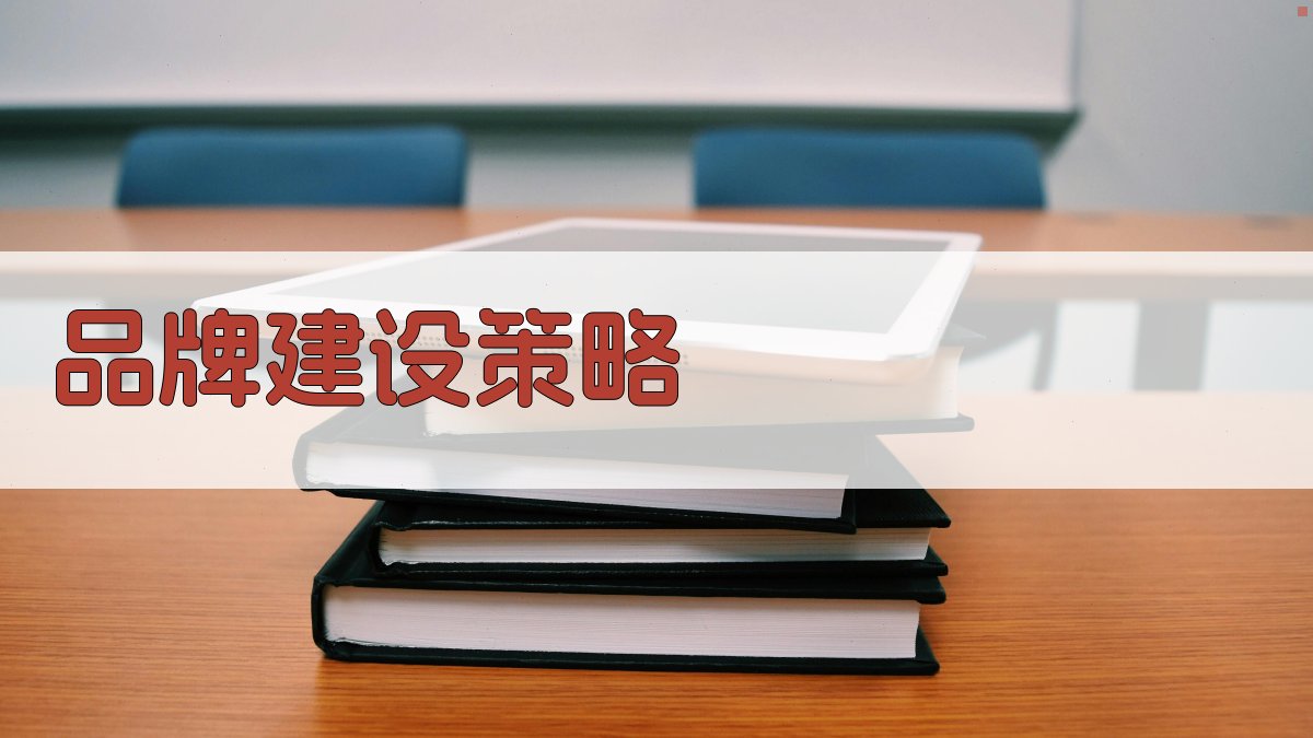 品牌建设策略 图1