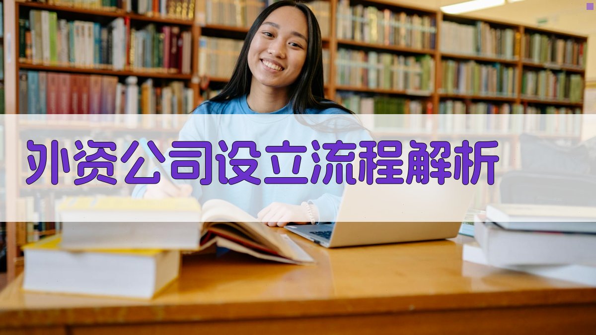 外资公司设立流程解析 图1