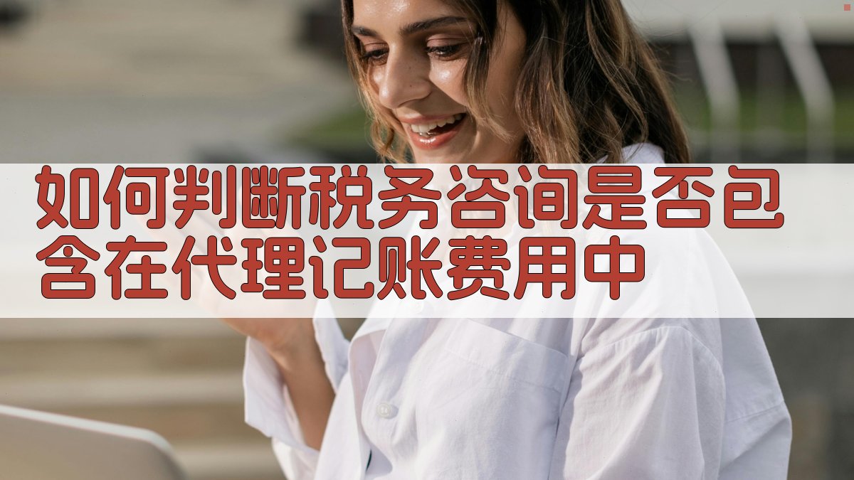 如何判断税务咨询是否包含在代理记账费用中 图3
