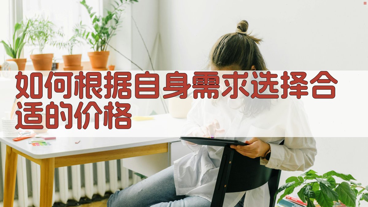 如何根据自身需求选择合适的价格 图3