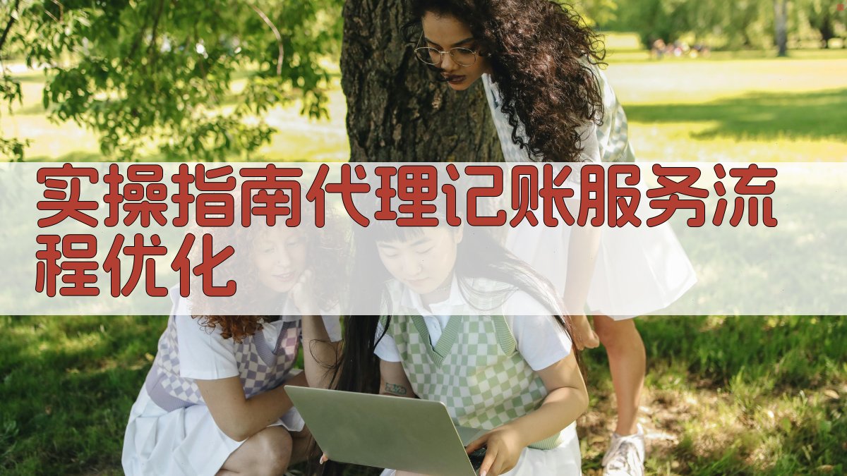 实操指南：代理记账服务流程优化 图2