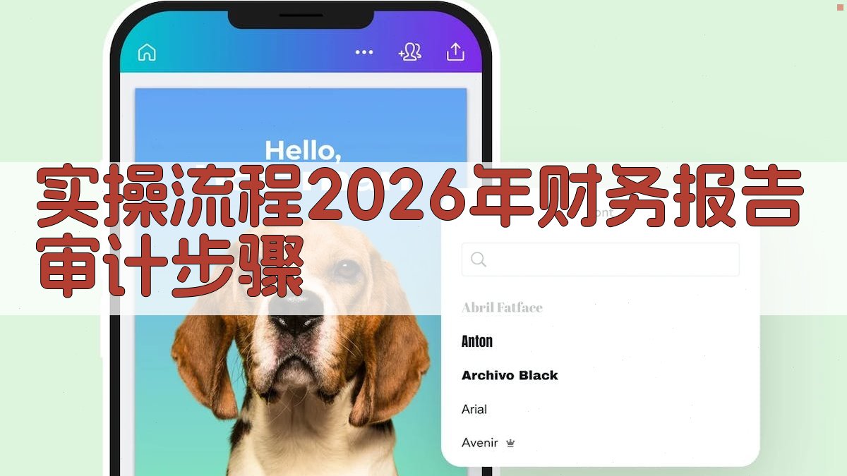 实操流程：2026年财务报告审计步骤 图3