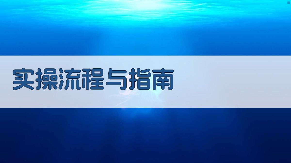 实操流程与指南 图3