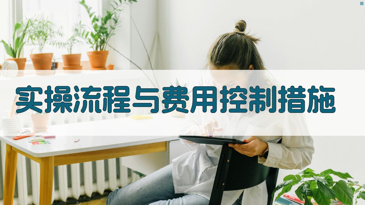 实操流程与费用控制措施 图2