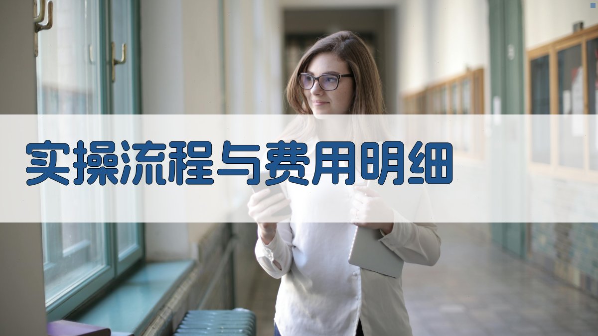 实操流程与费用明细 图2