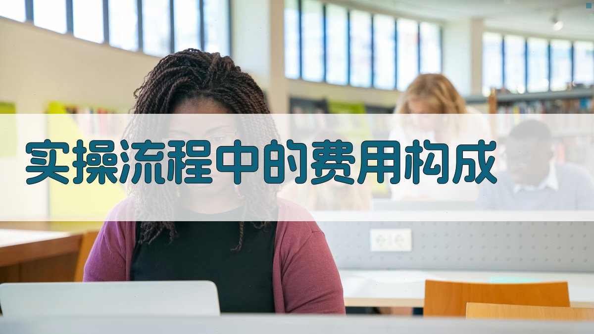 实操流程中的费用构成 图3