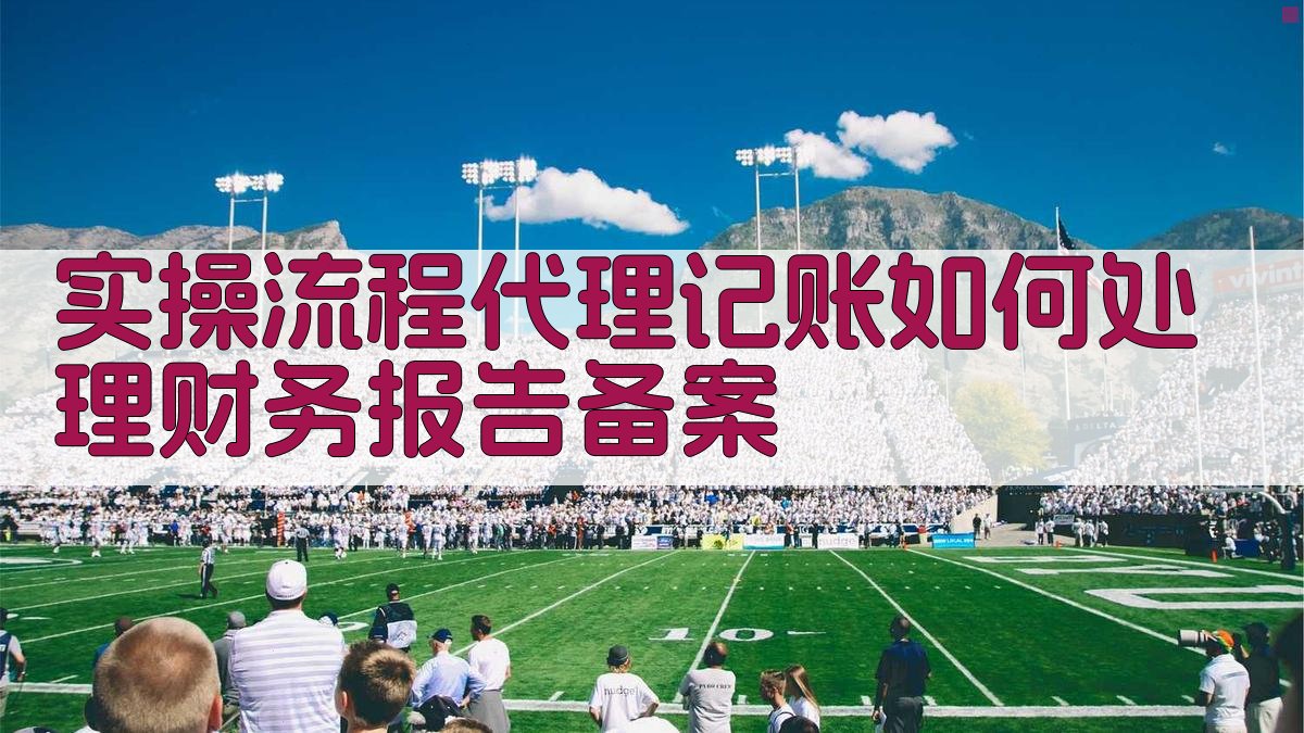 实操流程：代理记账如何处理财务报告备案 图3