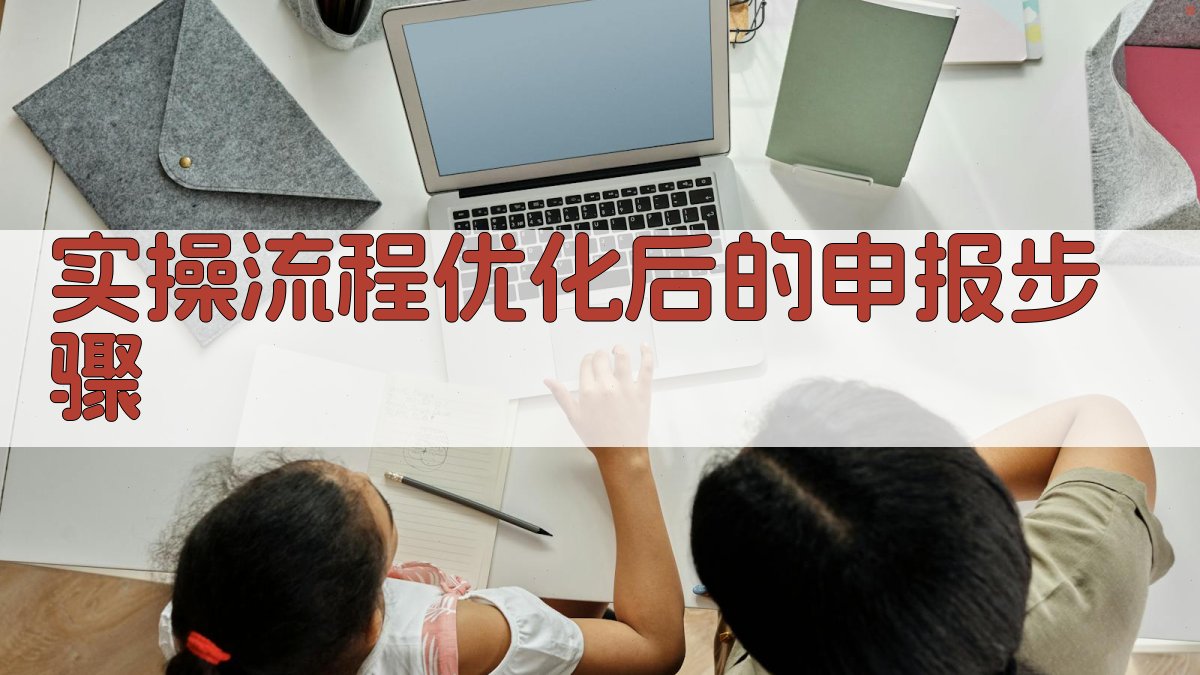 实操流程：优化后的申报步骤 图3