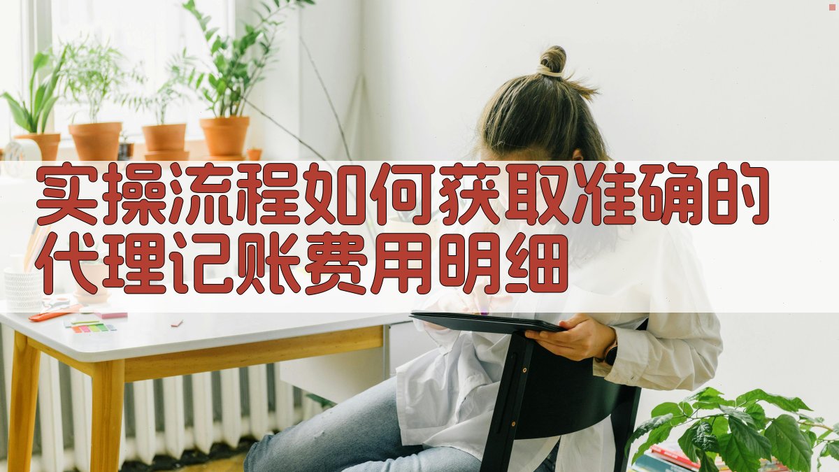 实操流程：如何获取准确的代理记账费用明细 图3