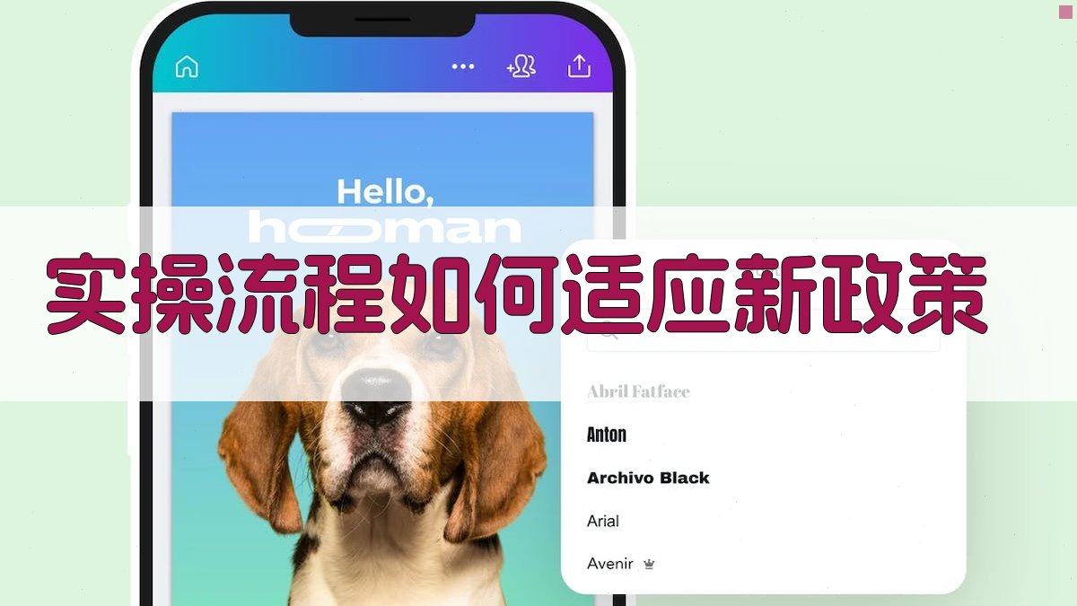 实操流程：如何适应新政策 图2